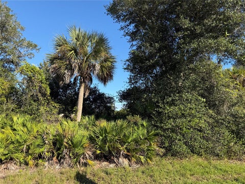 Photo of 13499 Eleanor Avenue, Port Charlotte, FL 33953 (MLS # D6149310)
