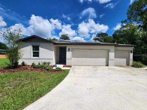 A home in SPRING HILL