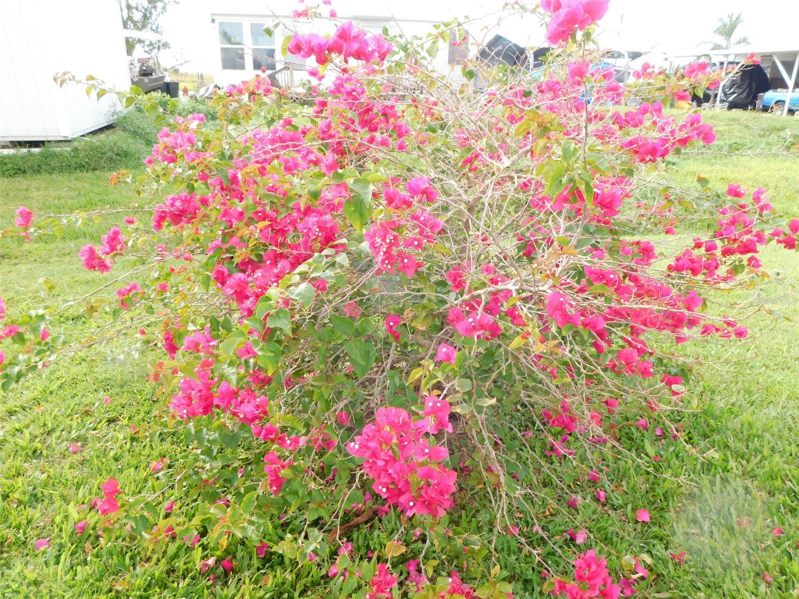 SUNNY BREEZE MOBILE HOME PARK - Residential