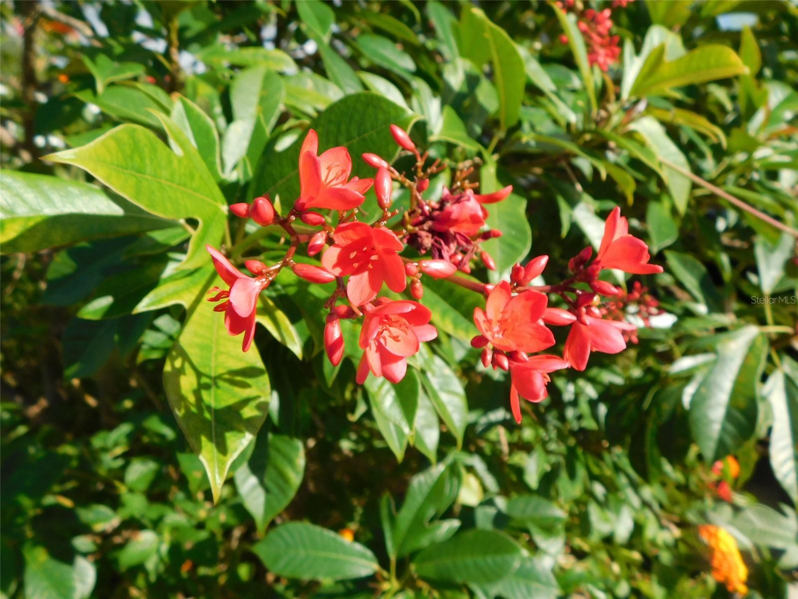 SUNNY BREEZE MOBILE HOME PARK - Residential