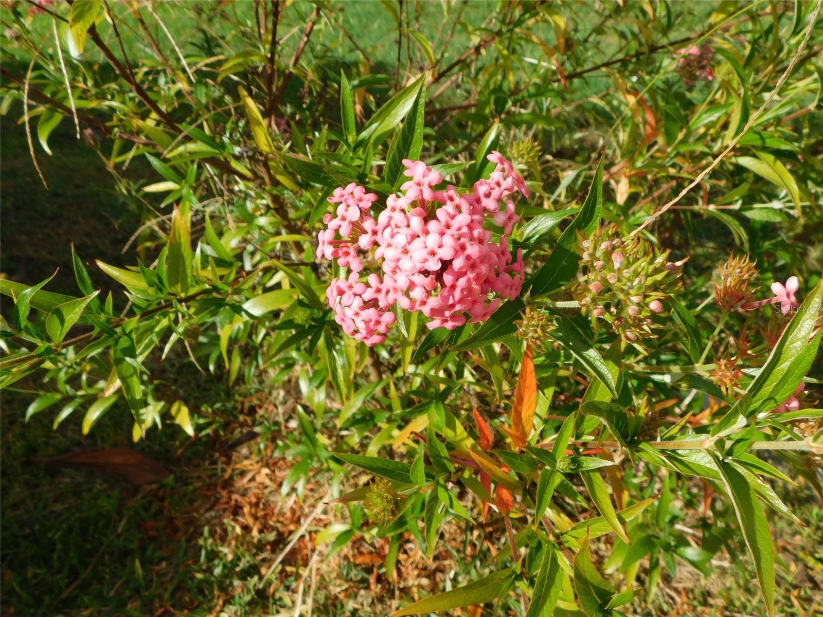 SUNNY BREEZE MOBILE HOME PARK - Residential