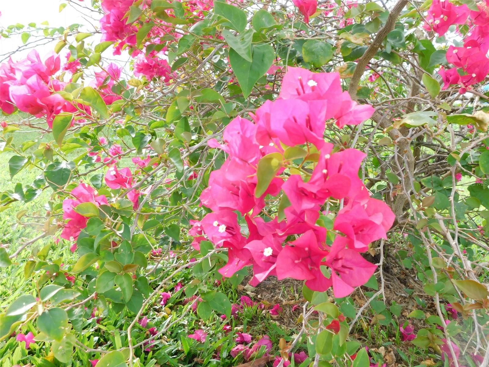 SUNNY BREEZE MOBILE HOME PARK - Residential