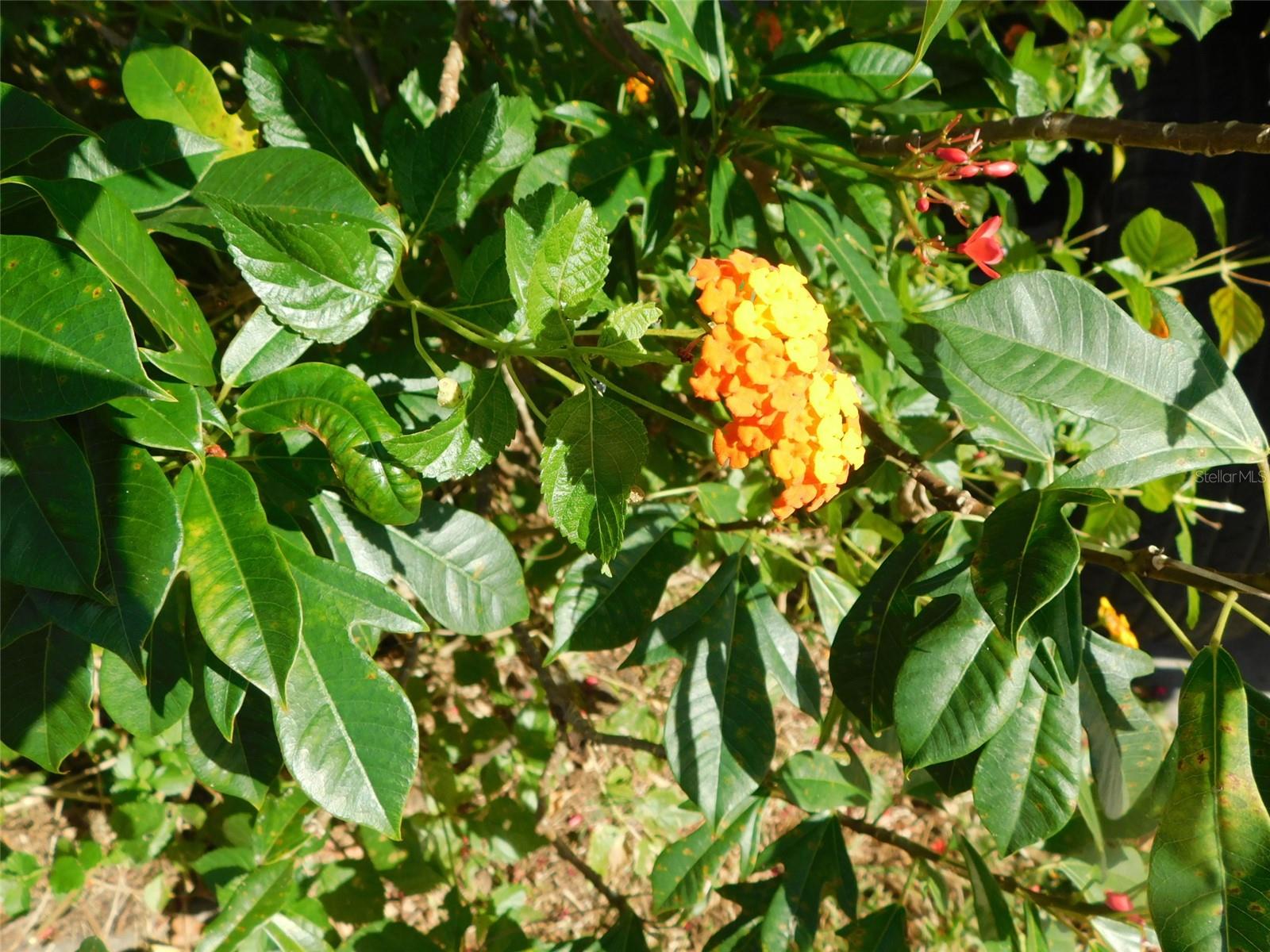 SUNNY BREEZE MOBILE HOME PARK - Residential