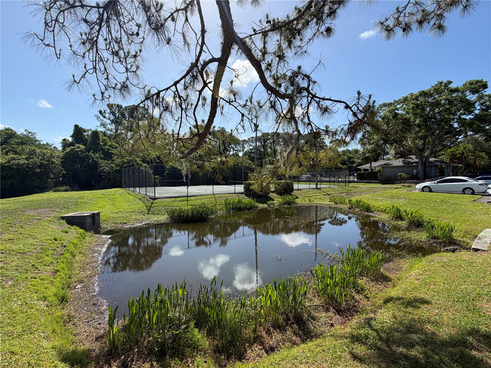 STEEPLECHASE PH - Residential