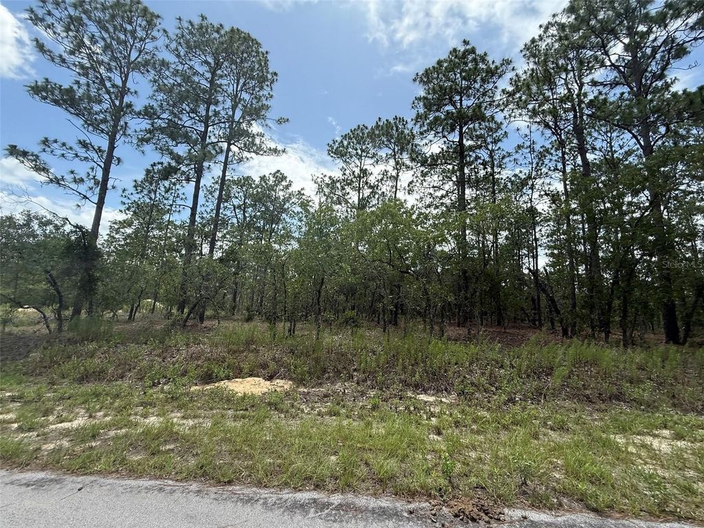 Photo of Tbd Tree Top Road, Dunnellon, FL 34431 (MLS # K4903639)