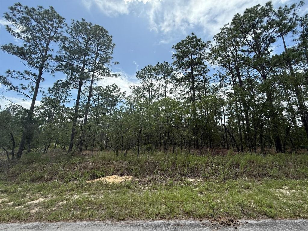 Photo of Tbd Tree Top Road, Dunnellon, FL 34431 (MLS # K4903639)