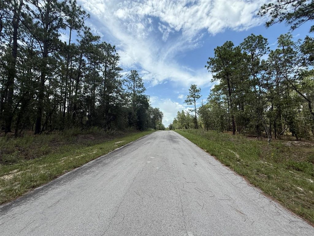 Photo of Tbd Tree Top Road, Dunnellon, FL 34431 (MLS # K4903639)