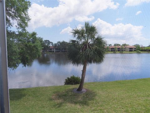 Photo of 224 Cypress Lane #224, Oldsmar, FL 34677 (MLS # TB8373274)