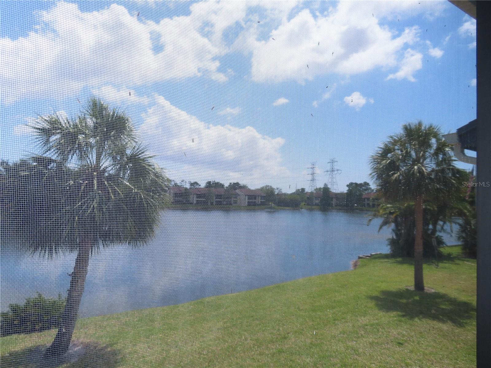 224 CYPRESS LANE 224