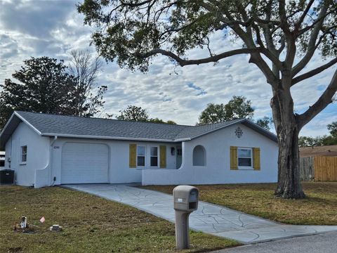 A home in BROOKSVILLE