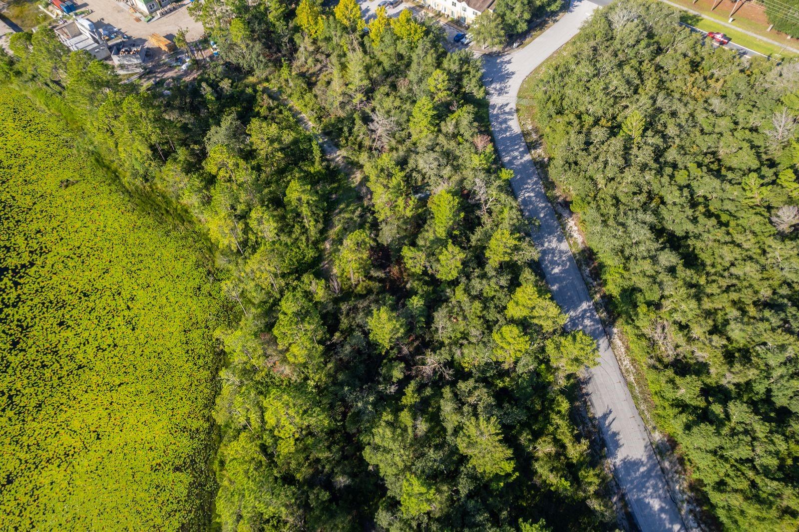 DELTONA LAKES UNIT 74 - Land