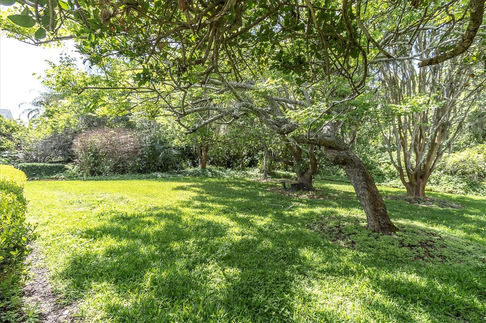 TRINITY OAKS INCREMENT X - Residential