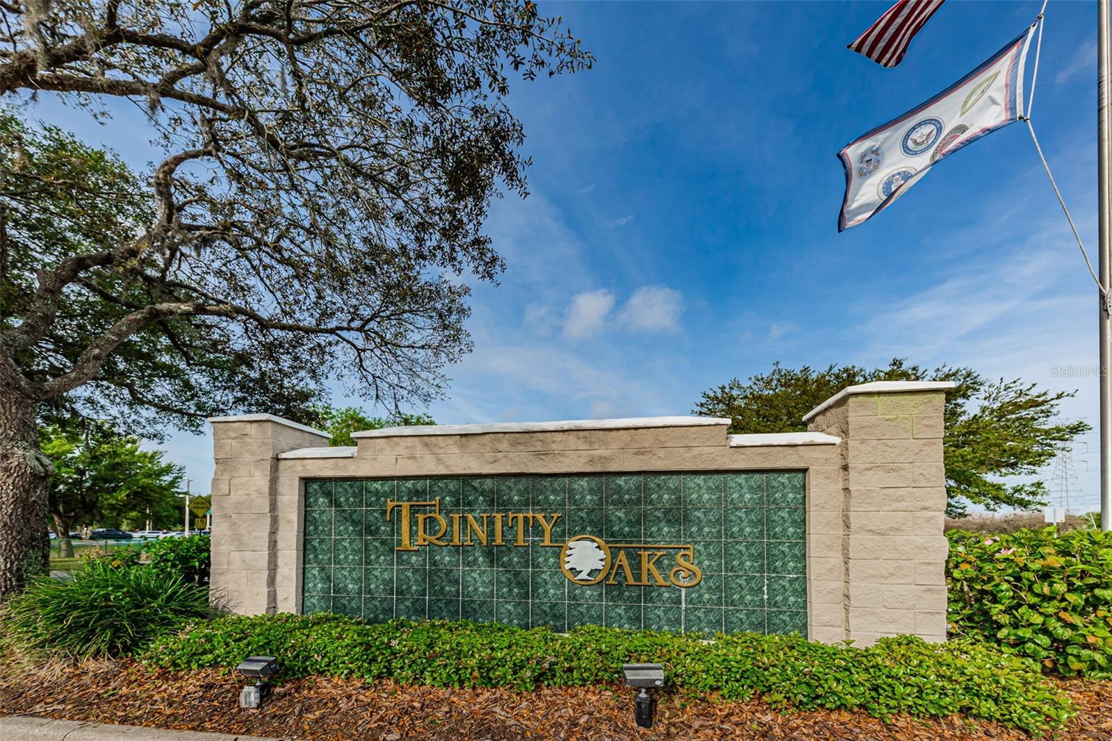TRINITY OAKS INCREMENT X - Residential