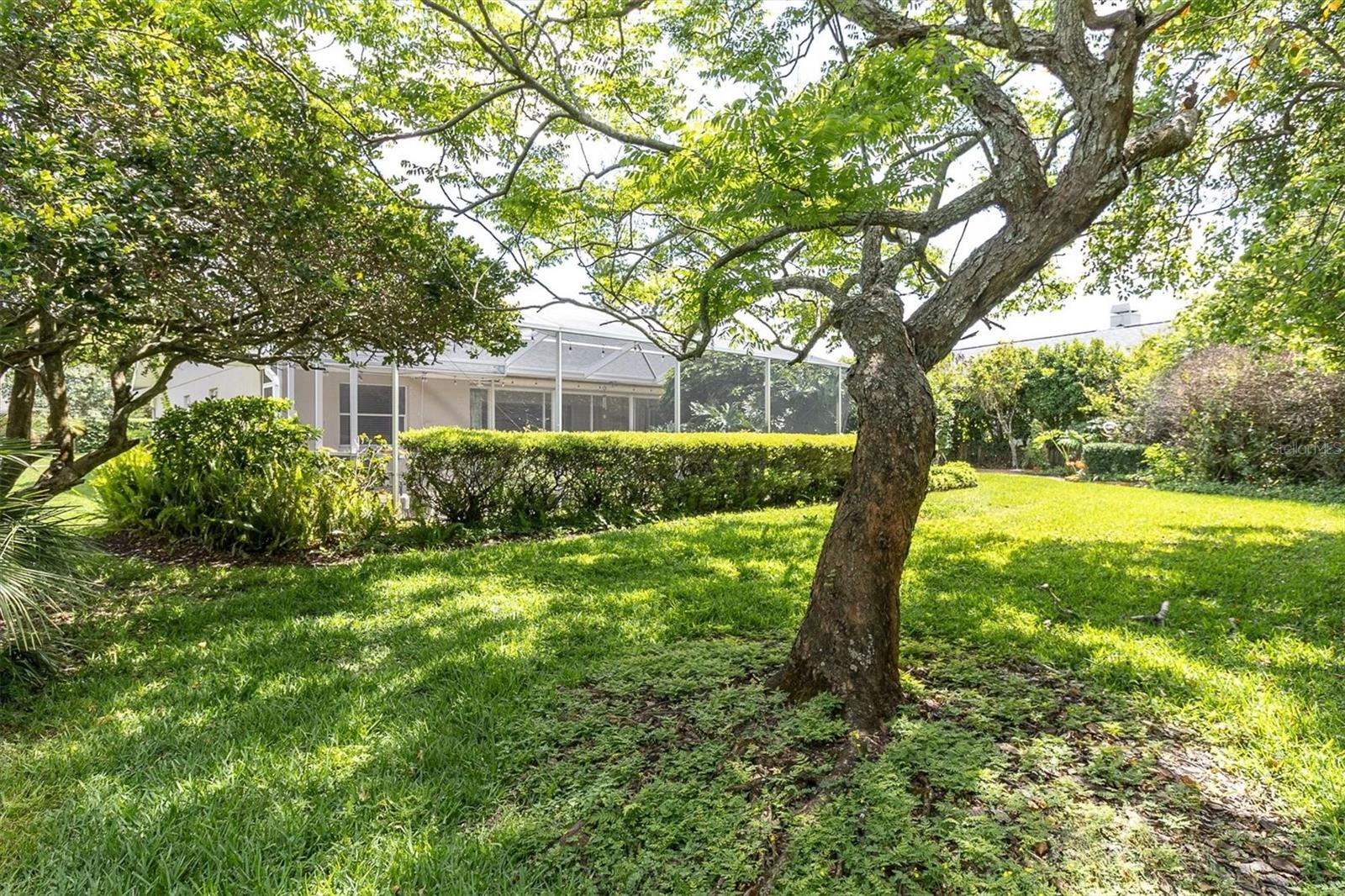 TRINITY OAKS INCREMENT X - Residential