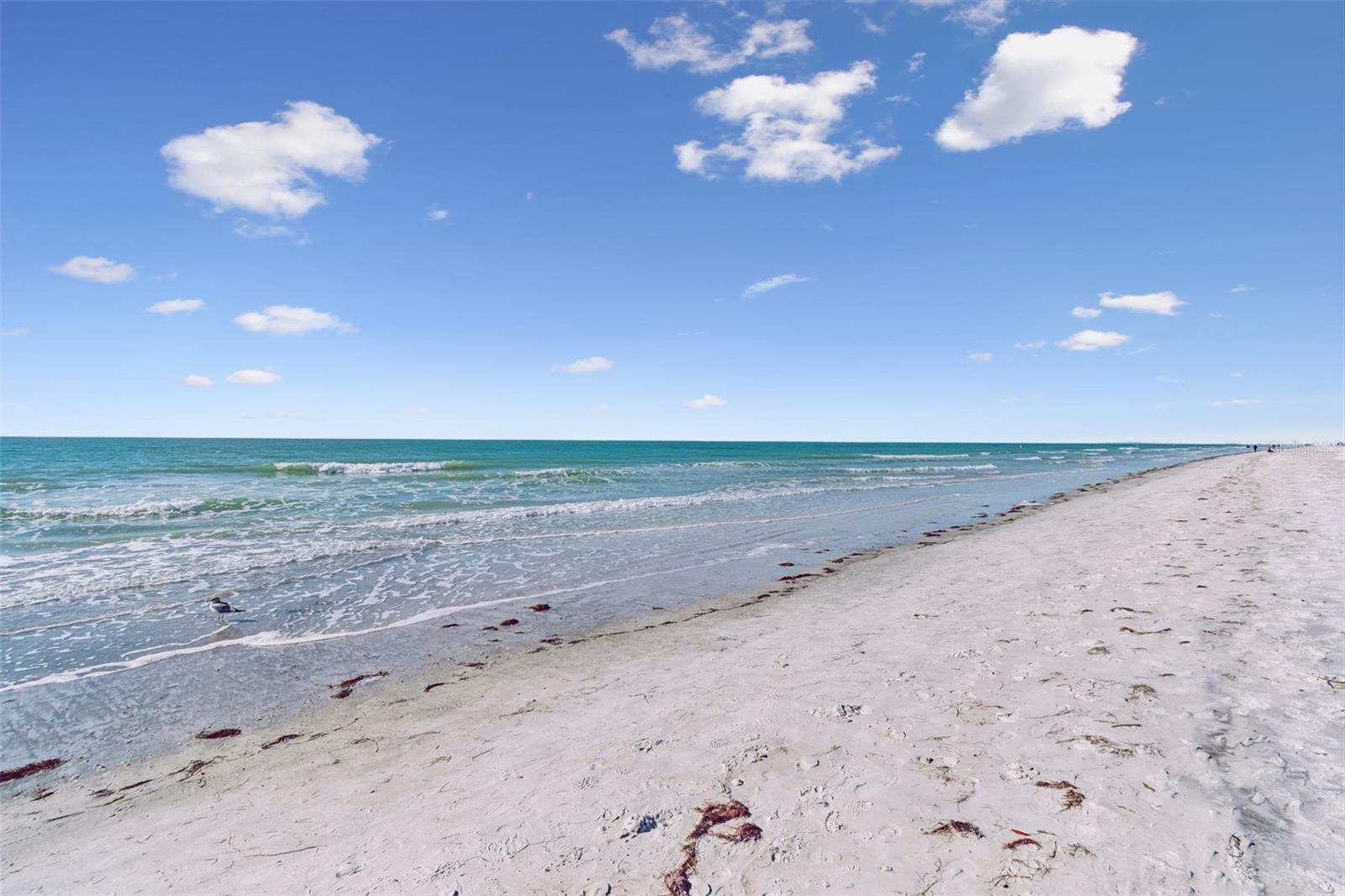 INDIAN ROCKS - Commercial Sale