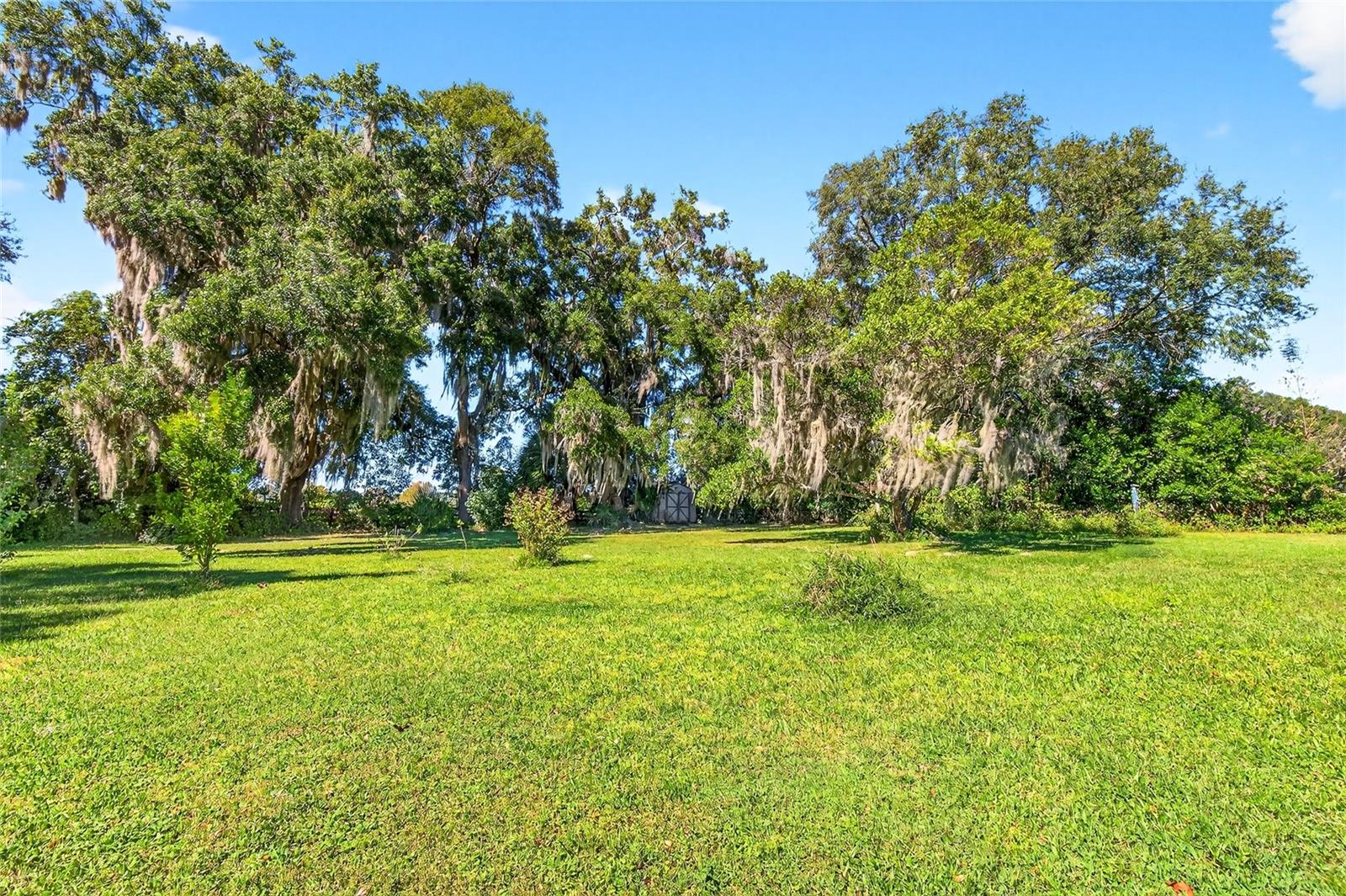 FILLY RUN ACRES - Residential