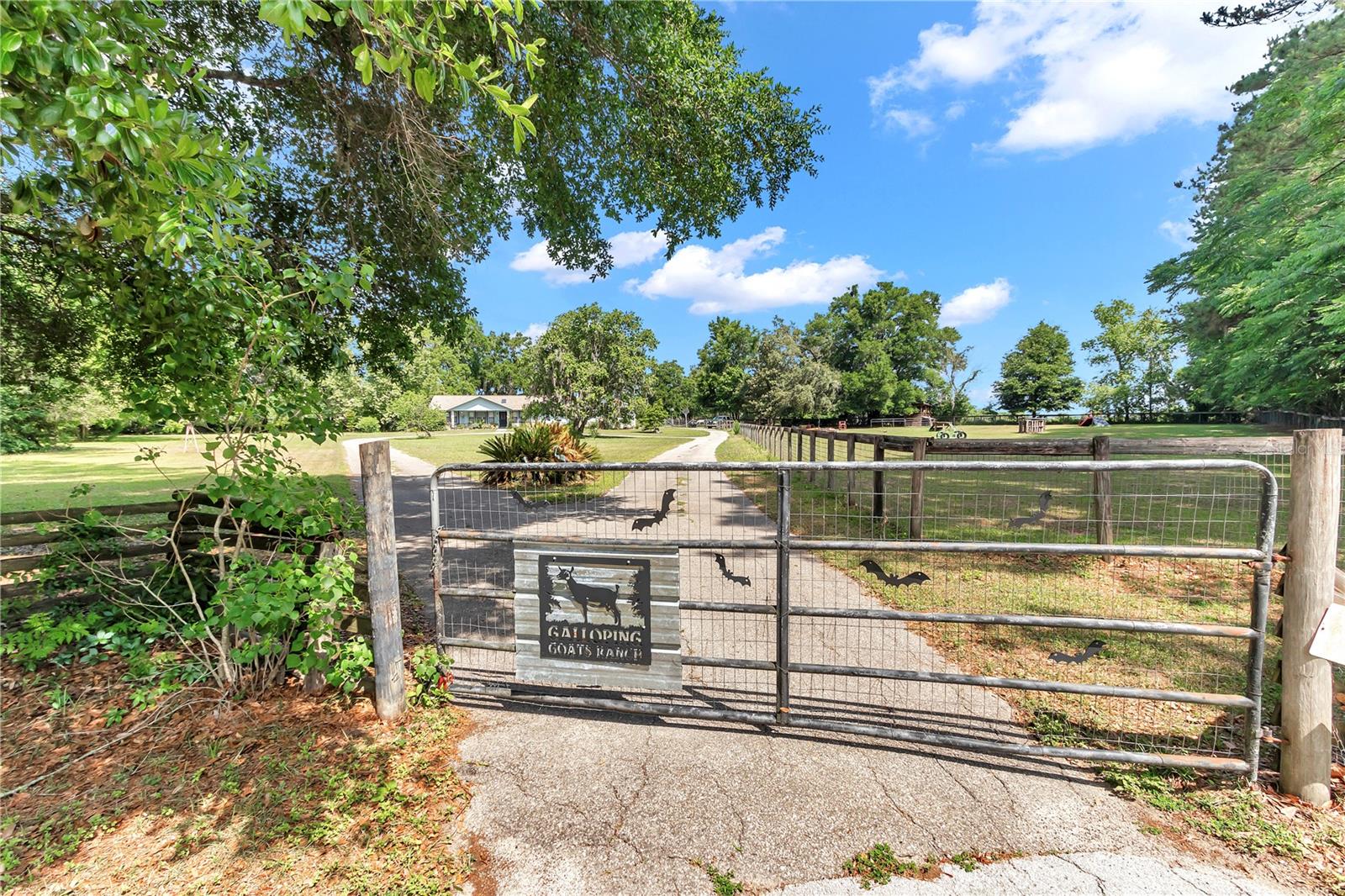 FILLY RUN ACRES - Residential