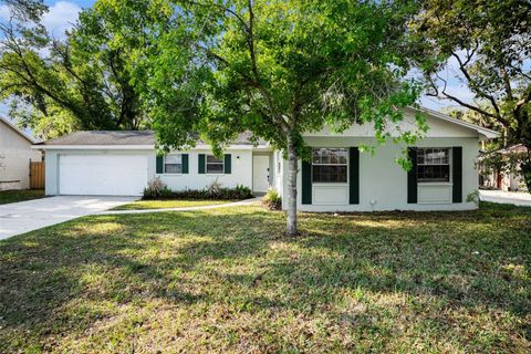 Photo of 1027 Pinegrove Drive, Brandon, FL 33511 (MLS # O6393089)