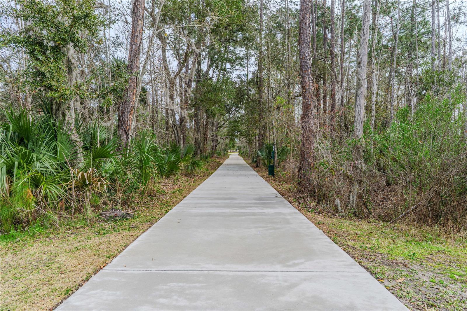 PALMS - PHASE 5 MB 62 PGS 73-77 - Residential