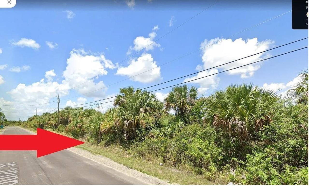 Build Opportunity. Seller has survey, plans, engineering, driveway and drainage completed and ready. Almost quarter of a lot. Great opportunity to build your dream home or investment home. take this opportunity now before it's gone!!