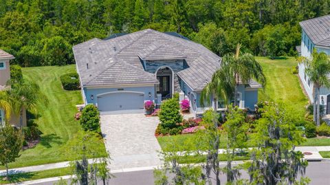 Single Family Residence in WESLEY CHAPEL FL 2273 HOLLOW FOREST COURT.jpg