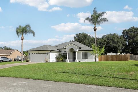 13421 BISCAYNE DRIVE GRAND ISLAND FL 32735