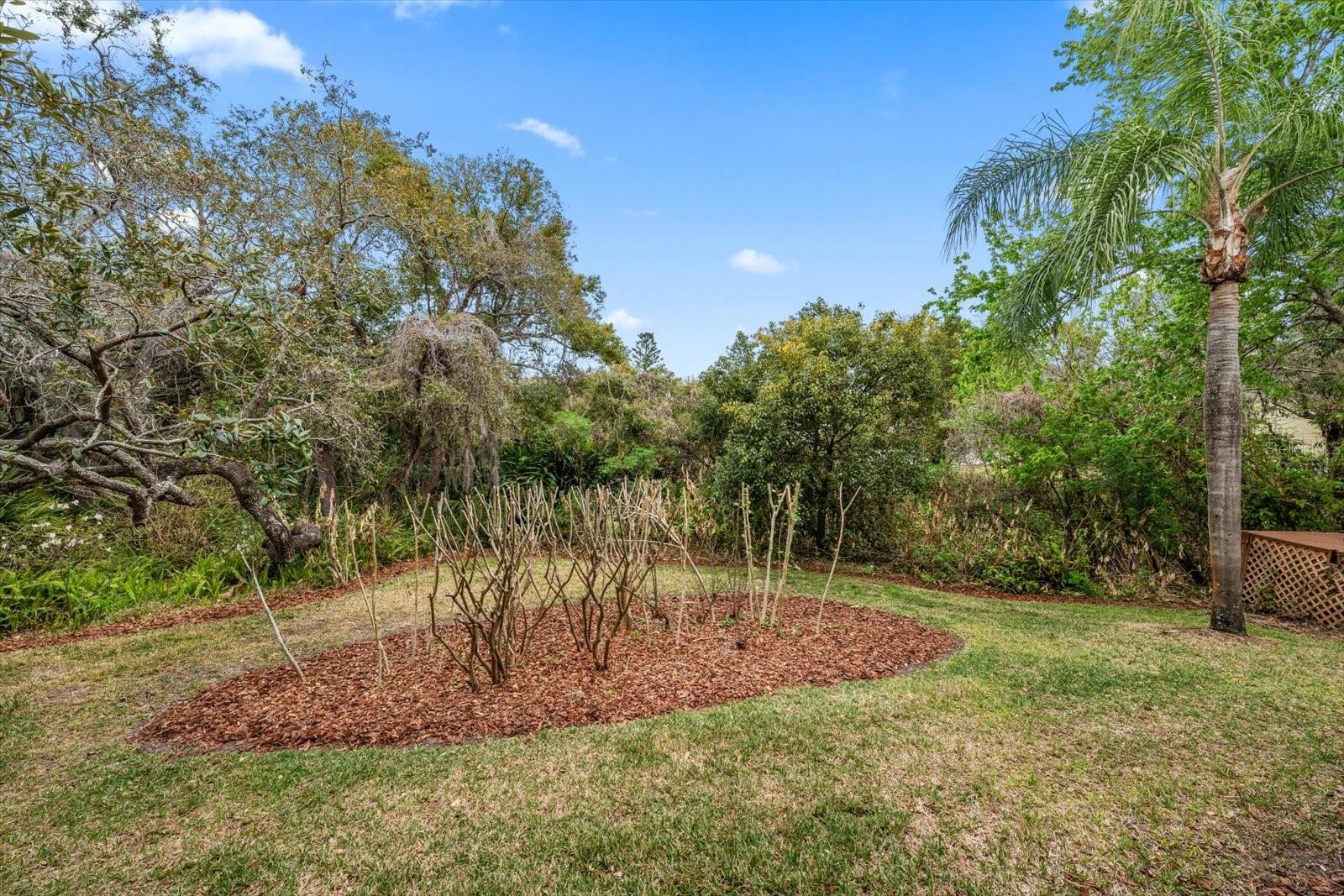 WEYBRIDGE WOODS-UNIT C - Residential