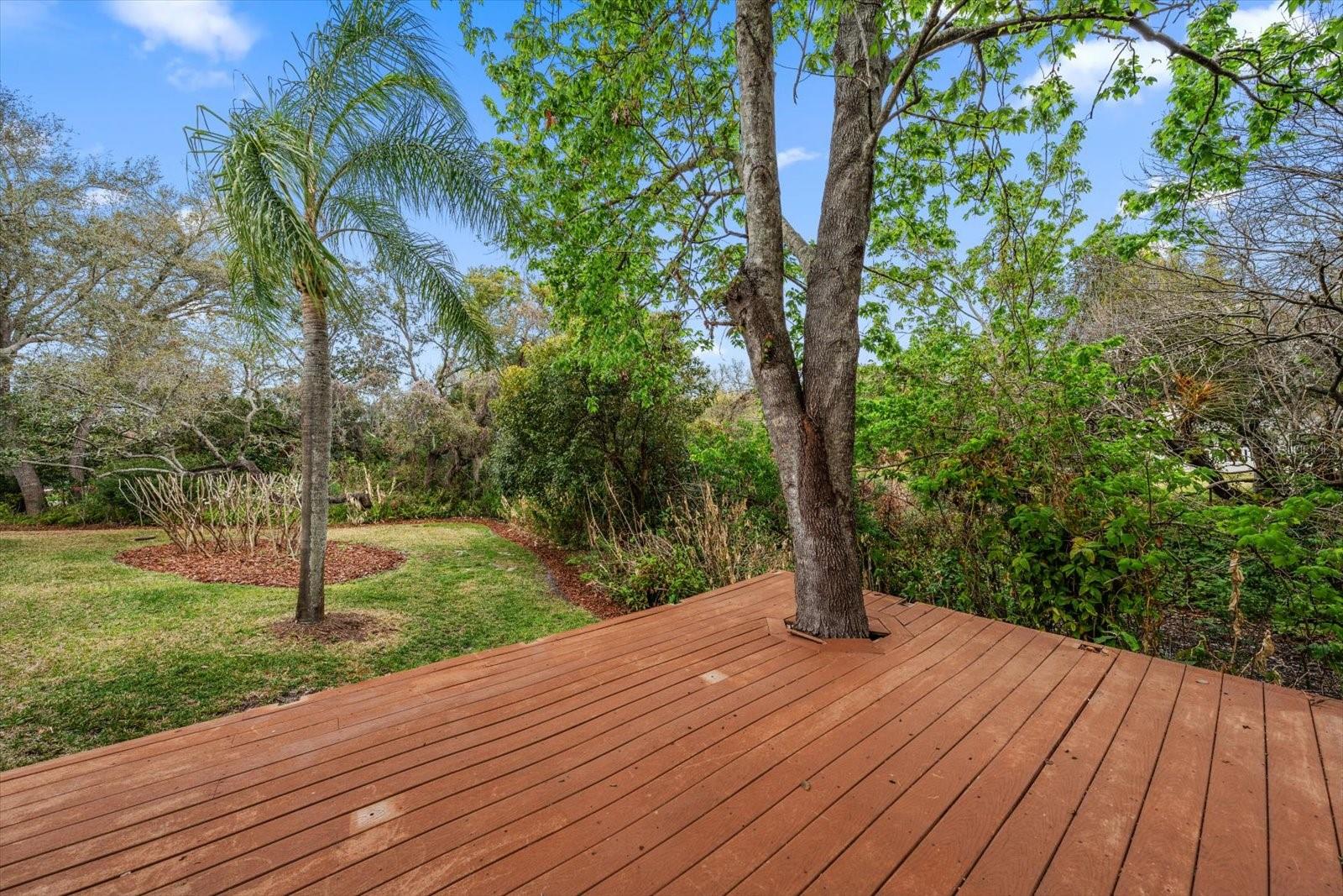 WEYBRIDGE WOODS-UNIT C - Residential