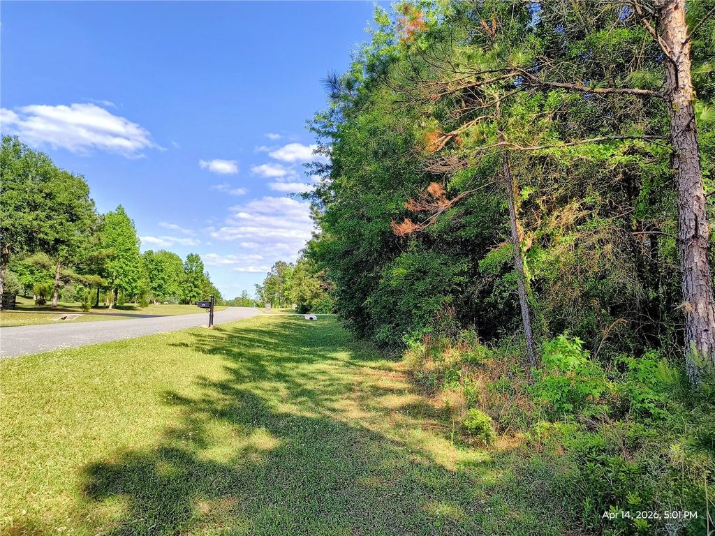 Photo of Tbd NW 142nd Street, Williston, FL 32696 (MLS # OM723965)