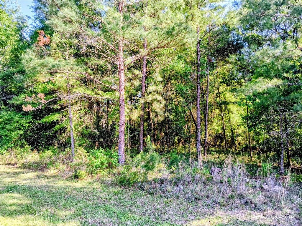 Photo of Tbd NW 142nd Street, Williston, FL 32696 (MLS # OM723965)