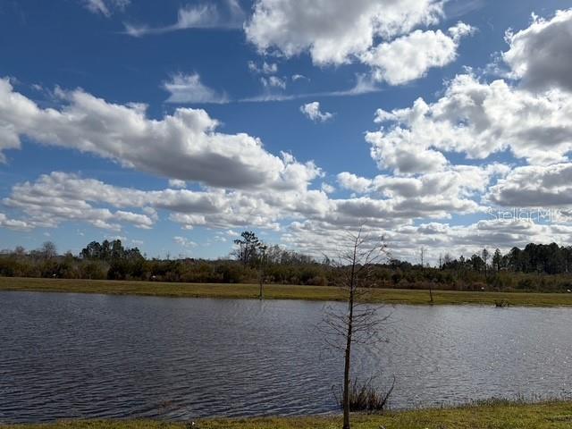 VILLAGES AT HARMONY PH 2A - Residential