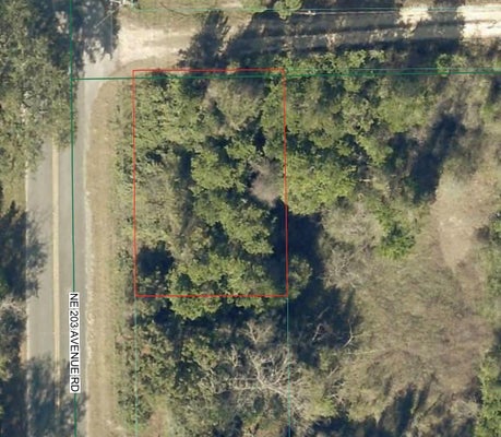 86 LN NE, ANTHONY, FL 32617 - Image b2f31ef9919cae4105e3dceb2434b2b9/2939678095