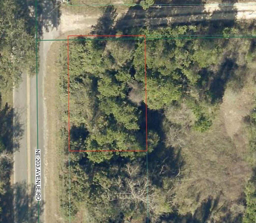Photo of Tbd NE 143 Lane, Fort Mccoy, FL 32134 (MLS # OM729815)