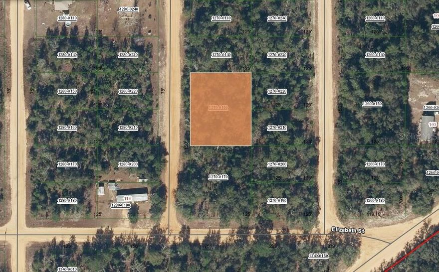 Great double lot (just under a .50 acre!) in a growing community!! Perfect for your future build with electricity nearby, able to keep the peaceful rural environment while yet only just a short driving distance to all of your shopping and dining needs. This lot is ideal for a buyer who has been waiting to build or the builder who might be looking to invest. Owner financing is also available!