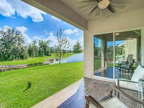 A home in ZEPHYRHILLS