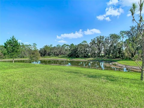 A home in ZEPHYRHILLS