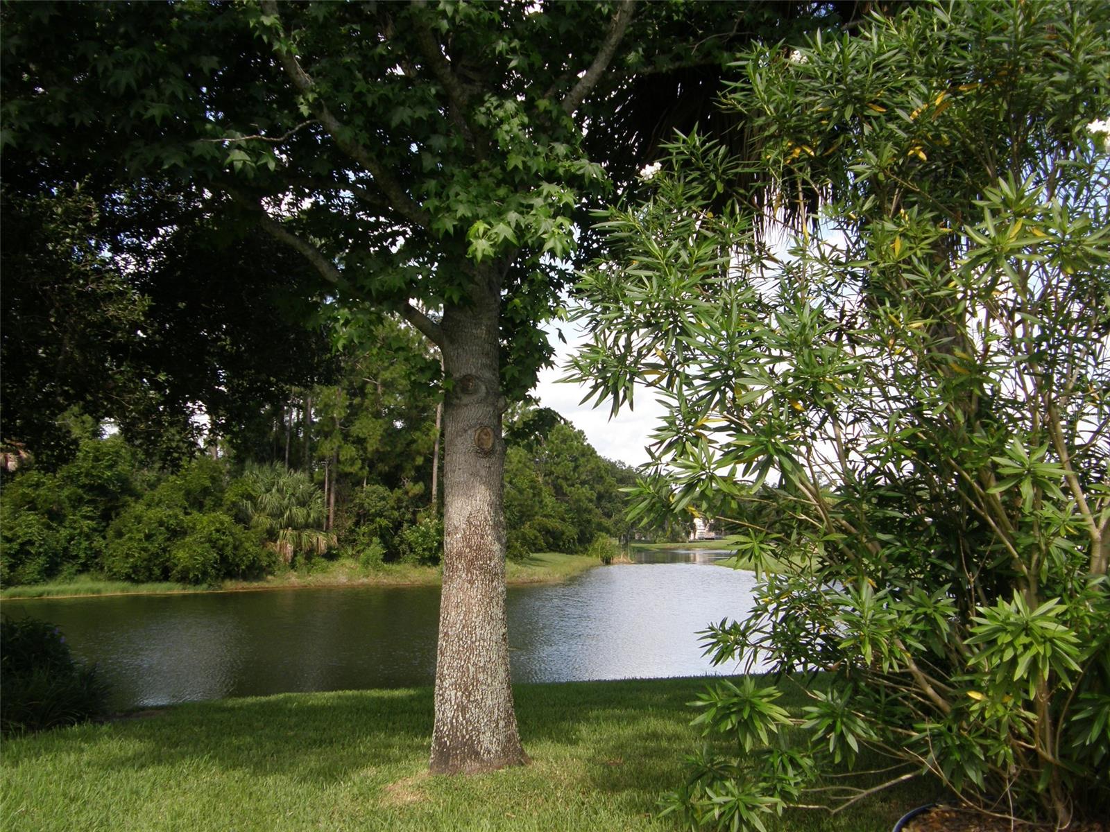 Turnbull Bay Cc Estates Ph 05 - Residential