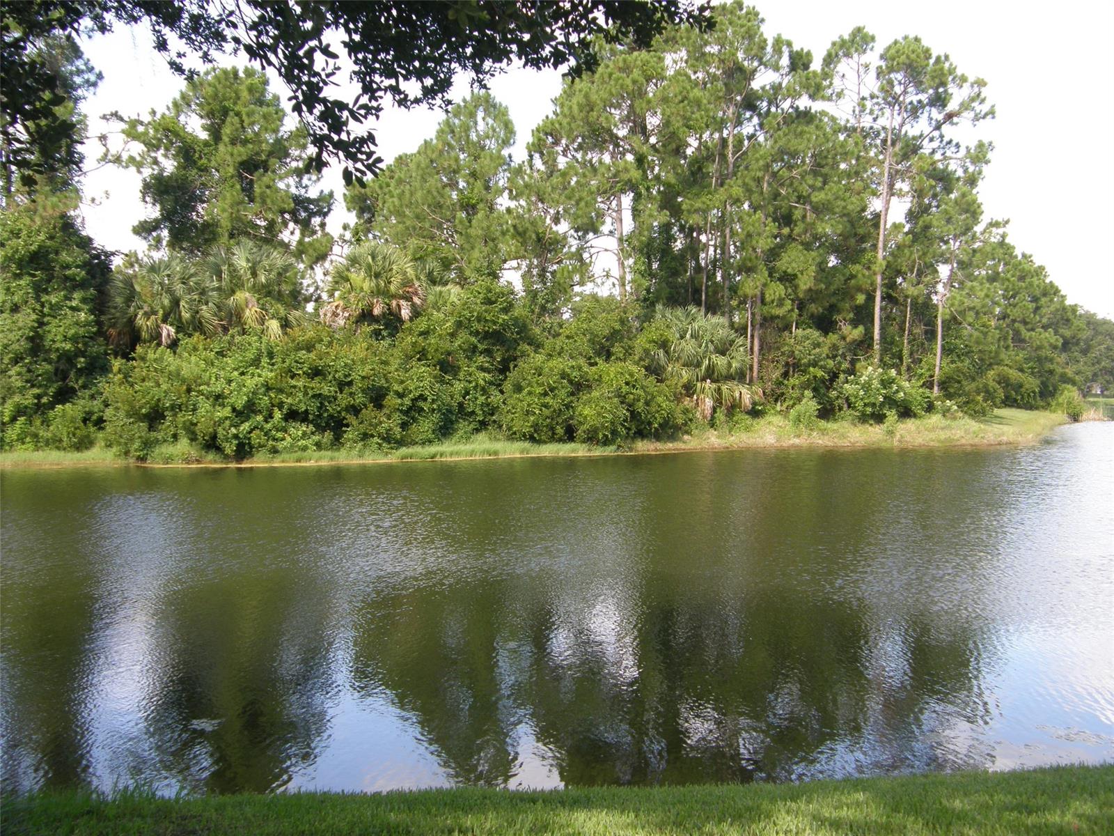 Turnbull Bay Cc Estates Ph 05 - Residential