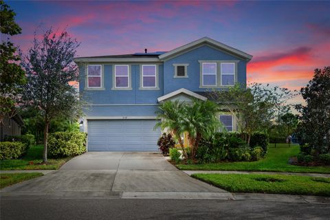 A home in APOLLO BEACH