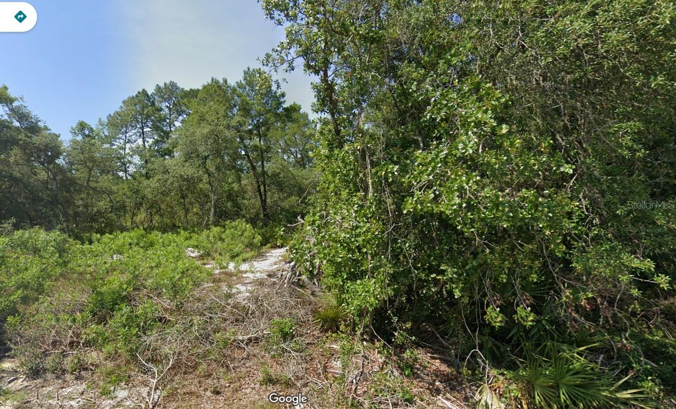 Build your dream home in the rapidly growing and serene area of Ocala. This property is nestled up to the Ocklawaha Prairie Restoration Area. Enjoy the small-town flair with annual festivals, rodeos, world-renowned fishing, and abundant hunting opportunities.