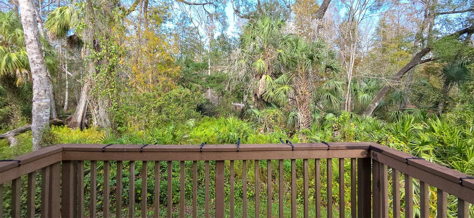 PALMA VISTA AT TAMPA PALMS - Residential Lease