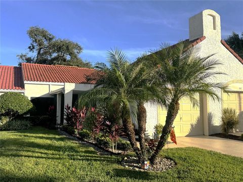 1109 MADEIRA DRIVE PALM HARBOR FL 34684