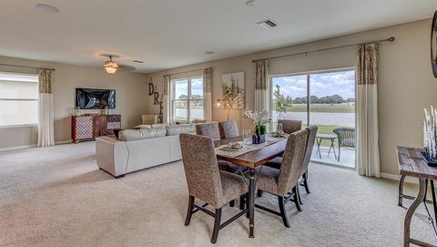 A home in WIMAUMA