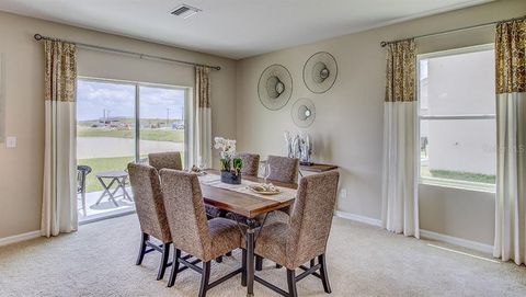 A home in WIMAUMA