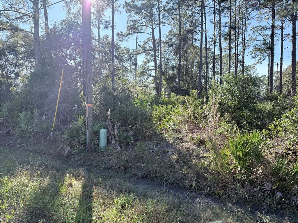 Photo of 1720 10th, Deland, FL 32724 (MLS # V4946225)