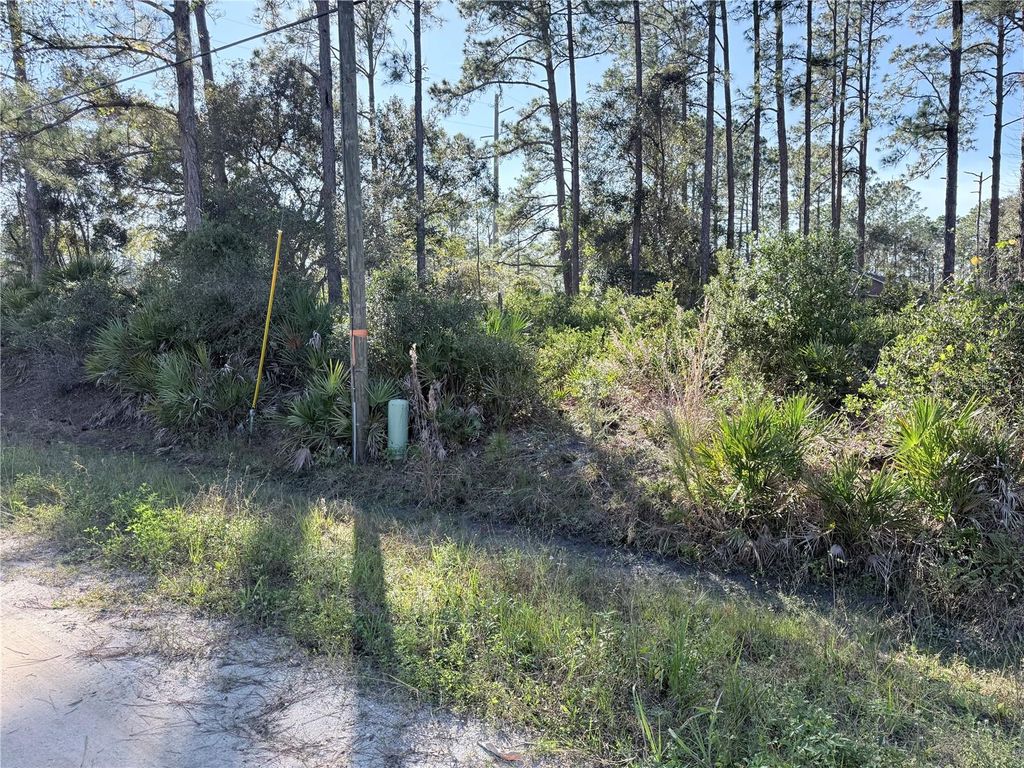 Photo of 1720 10th, Deland, FL 32724 (MLS # V4946225)