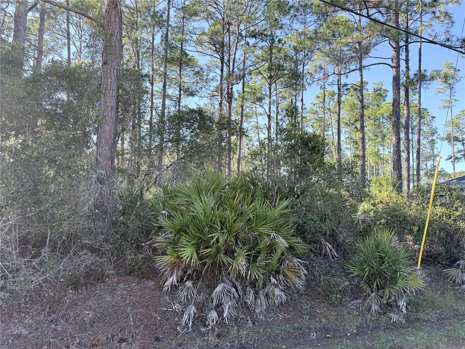 DAYTONA PARK ESTATES - Land