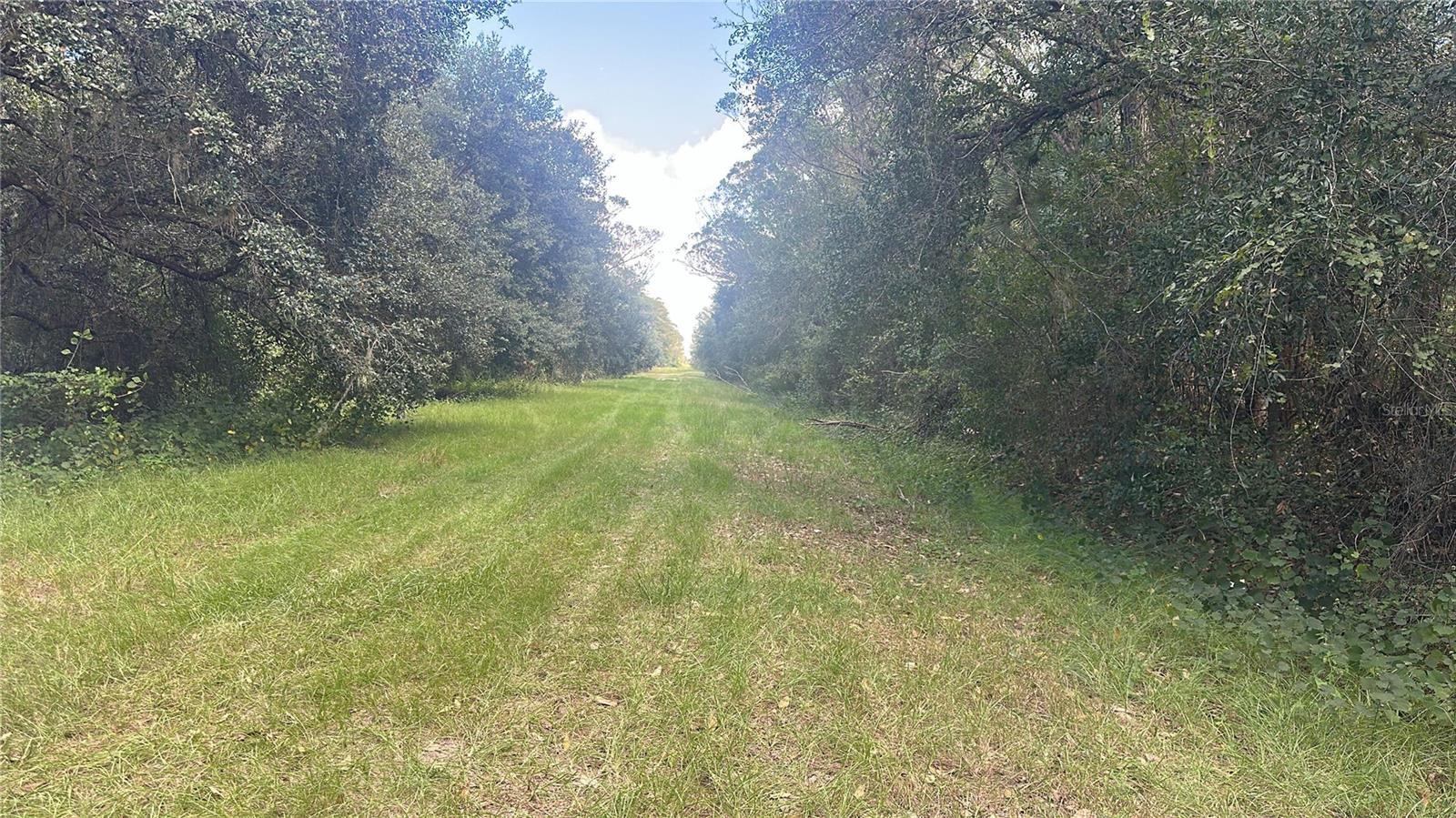 SOUTHERN COLONIZATION COMPANY - Land