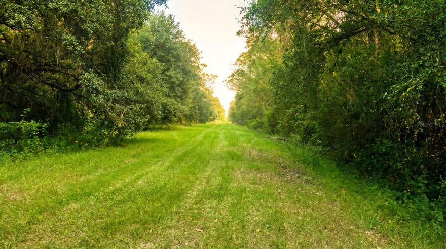1.25-acre lot in the peaceful Viking/Prairie area of NW Okeechobee. Zoned residential/agricultural — build your home, bring your manufactured home, or hold as investment. No HOA. Animals allowed. Electric at road; well and septic required. Minutes from Kissimmee Prairie Preserve State Park and close to world-class fishing at Lake Okeechobee. Your land, your rules!
