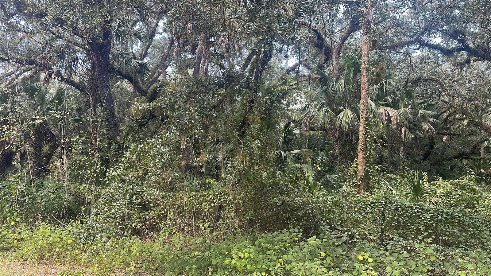 17875 NW 254TH STREET